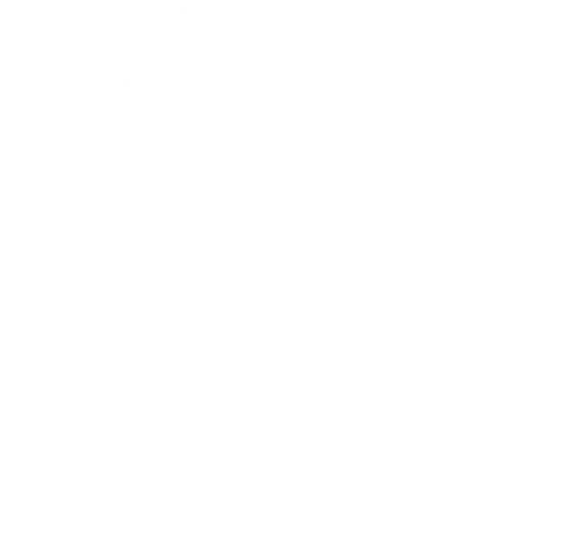 Curve Vector